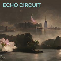 Echo Circuit
