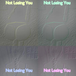 Not Losing You