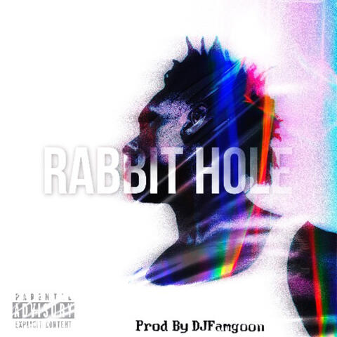Rabbit Hole