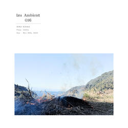 Izu Ambient 016