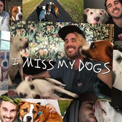 I miss my dogs