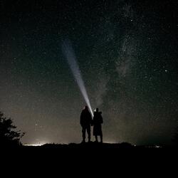 Maybe the stars
