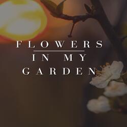 flowers In My Garden