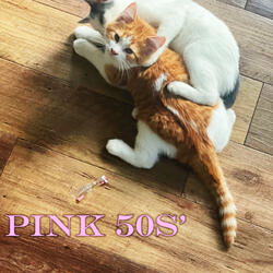 pink 50s'