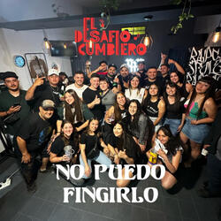 No puedo fingirlo