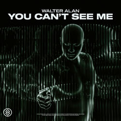 You Can't See Me