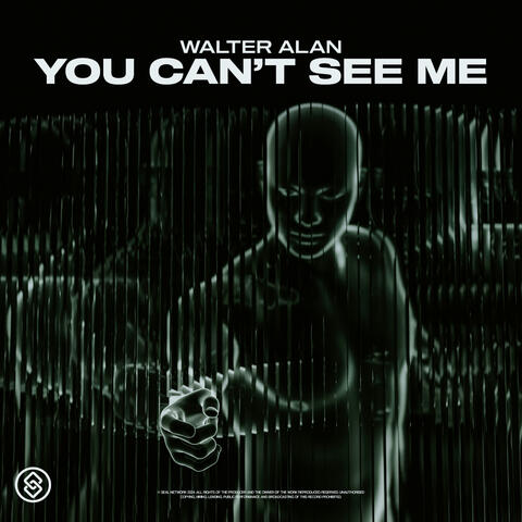 You Can't See Me