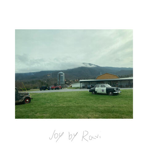 Joy