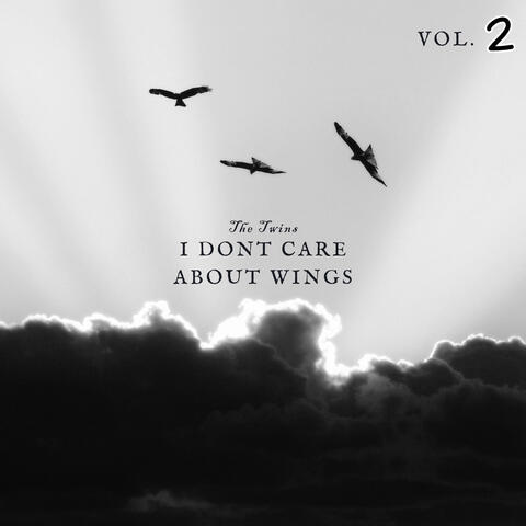 I Don't Care About Wings