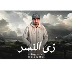 Zay Elnesr