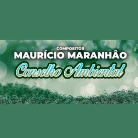 Conselho Ambiental