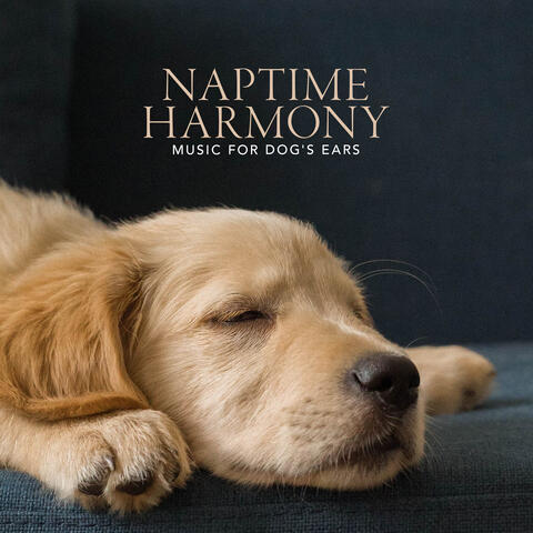 Naptime Harmony