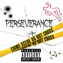Perseverance