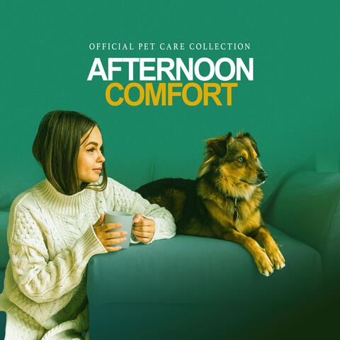 Afternoon Comfort