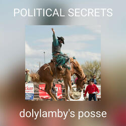 POLITICAL SECRETS
