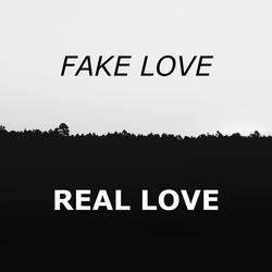 Fake Love vs Real Love