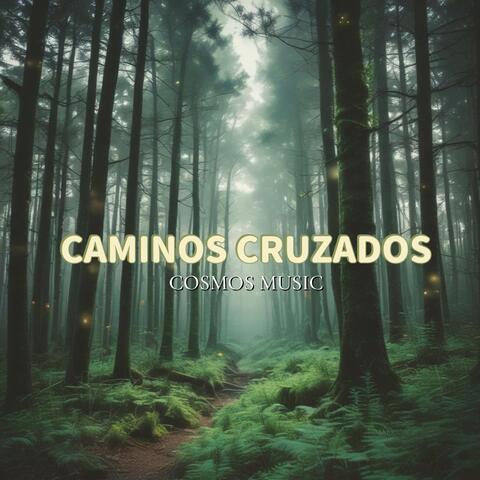Caminos Cruzados