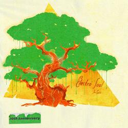 Shock Tree