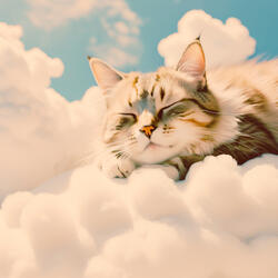 おやすみころろ