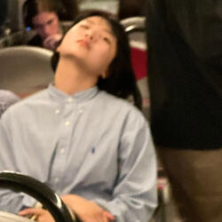 Un caballo en una habitación