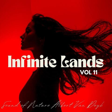 Infinite Lands, Vol. 11