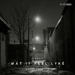 Wåt it feėl lykë (FAST)