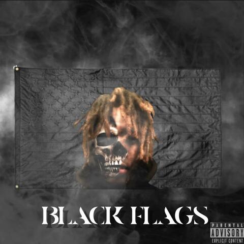 Black Flags:Lost Files