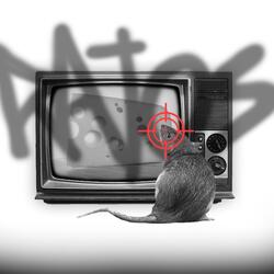 Rats