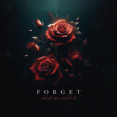 let's forget what we could be