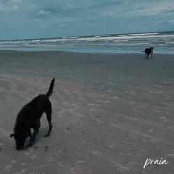Praia