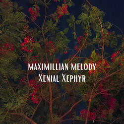 Xenial Xephyr