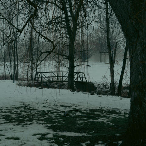 Petrichor