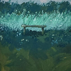 Woods and Rivers