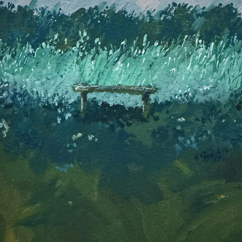 Woods and Rivers