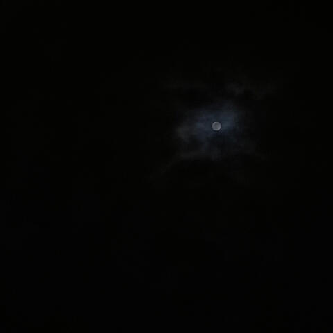 moonlight