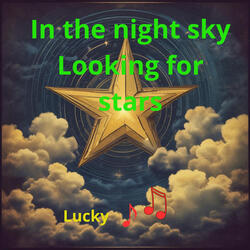 In the Night Sky Looking for Stars
