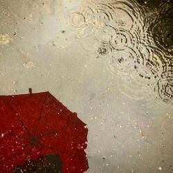 Holding An Umbrella
