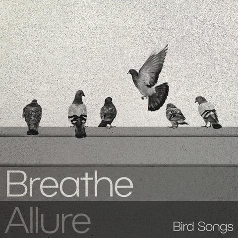 Breathe Allure