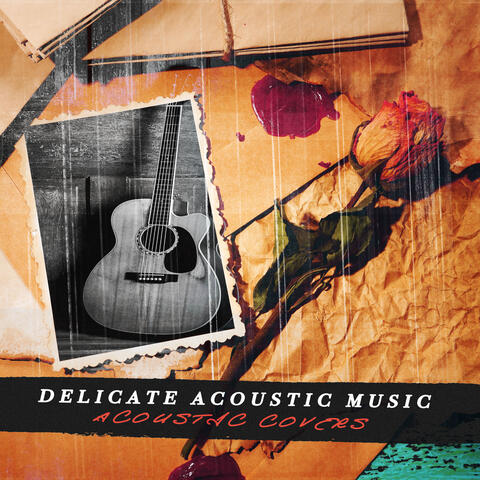 Delicate Acoustic Music