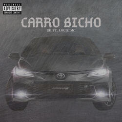 Carro Bicho
