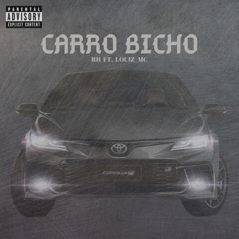 Carro Bicho
