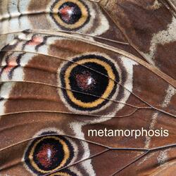 Metamorphosis