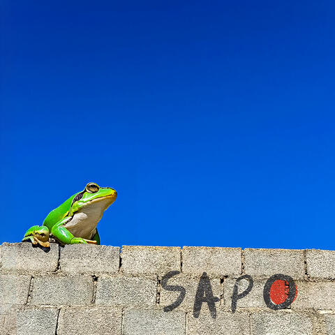 Já Já