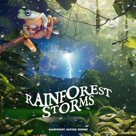 Rainforest Storms