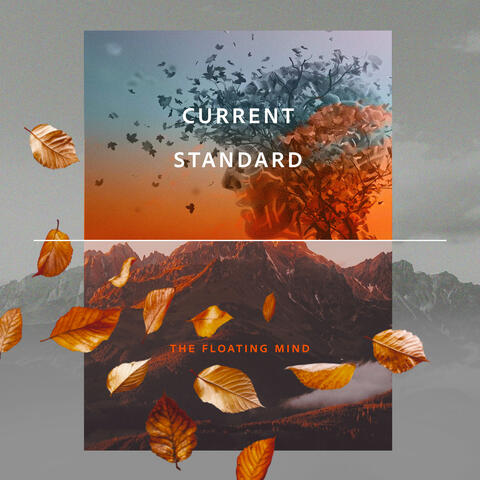 Current Standard