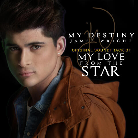 My Destiny (Original Soundtrack of "My Love From The Star")