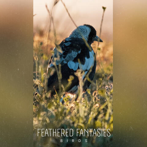 Feathered Fantasies