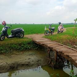 Pingpangpingpung