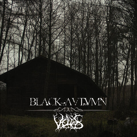 Veldes - Black Autumn Split