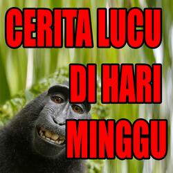 FUNNY STORIES ON SUNDAY